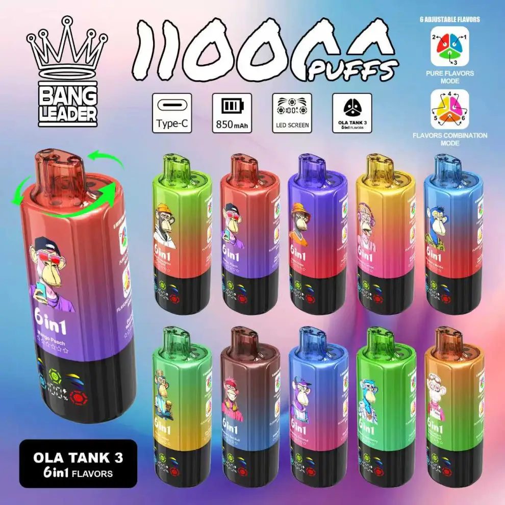 Bang Leader 110K 6-in-1 使い捨てベイプ 本体 - VapeJP Shop