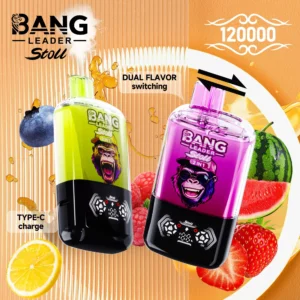 Bang Leader Stoll 120K 使い捨てベイプ 本体とパッケージ正面