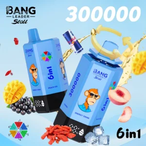 Bang Leader Stoll 300K 6-in-1 使い捨てベイプ 本体とパッケージ正面