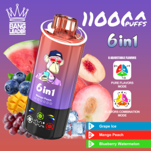 Bang Leader 110K 6-in-1