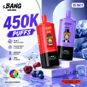 Bang Leader 450K 15-in-1