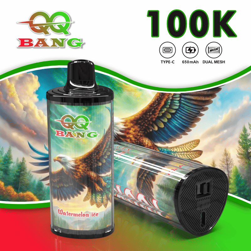 QQBang 100K レビュー 1パフ単価最安クラス検証