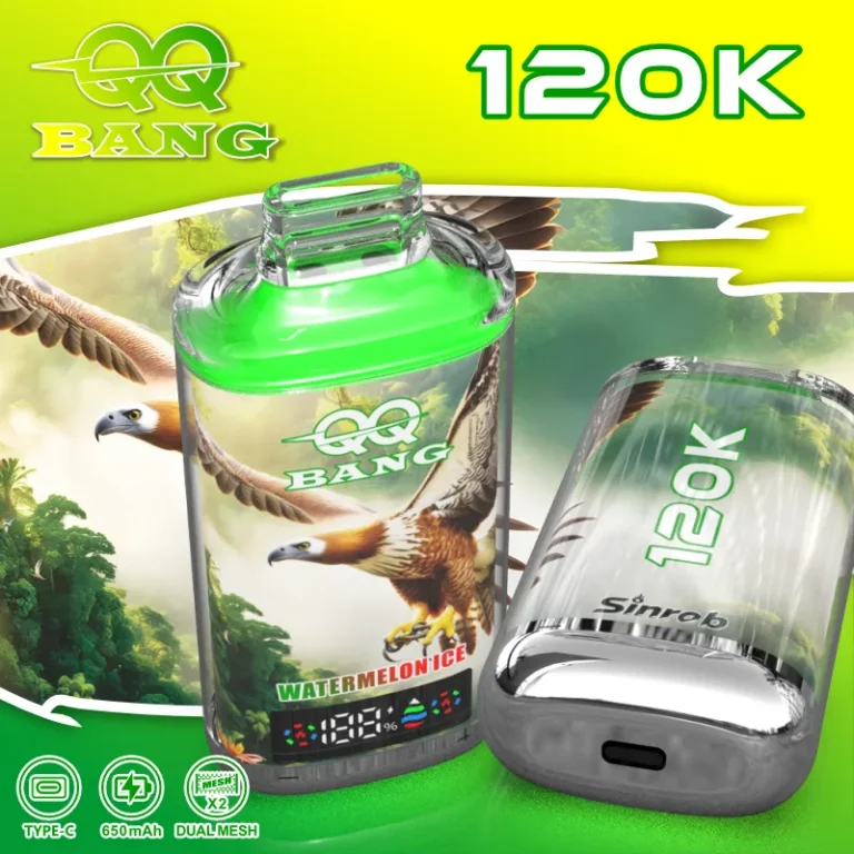 QQBANG 120000 QQBANG 120000 - 画像 (3)